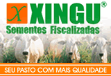 xingu sementes